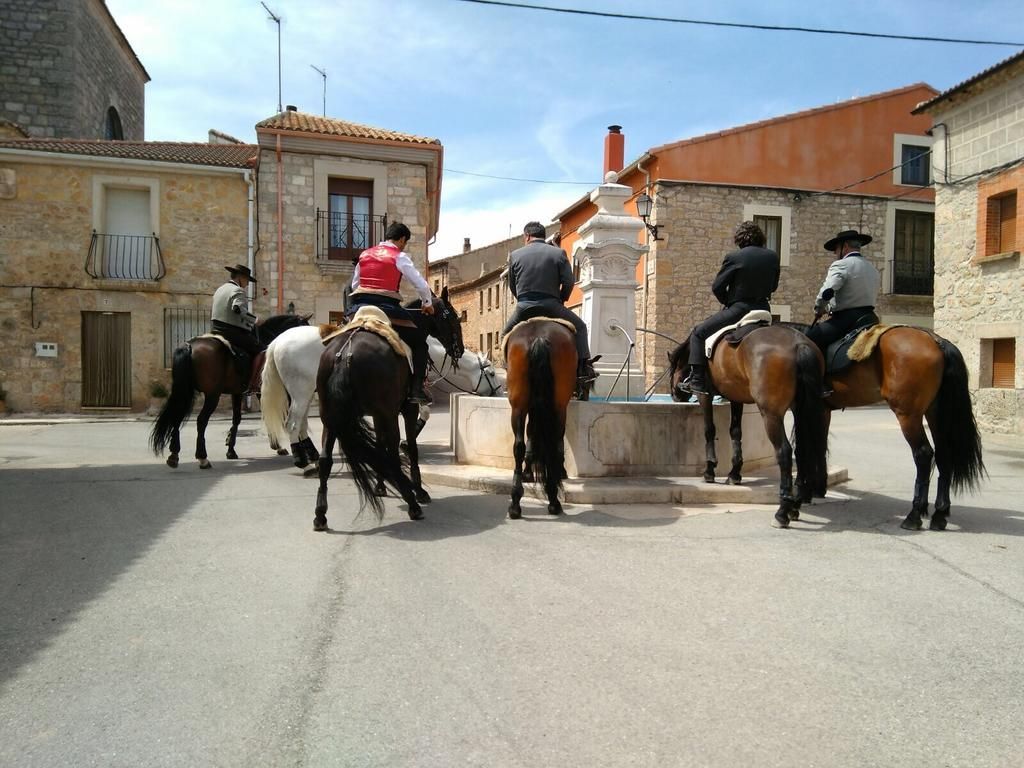 Camino de Santiago, a caballo