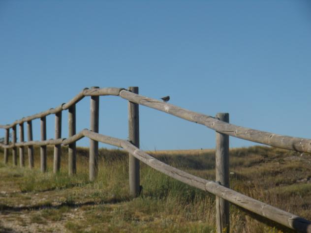 Mirador