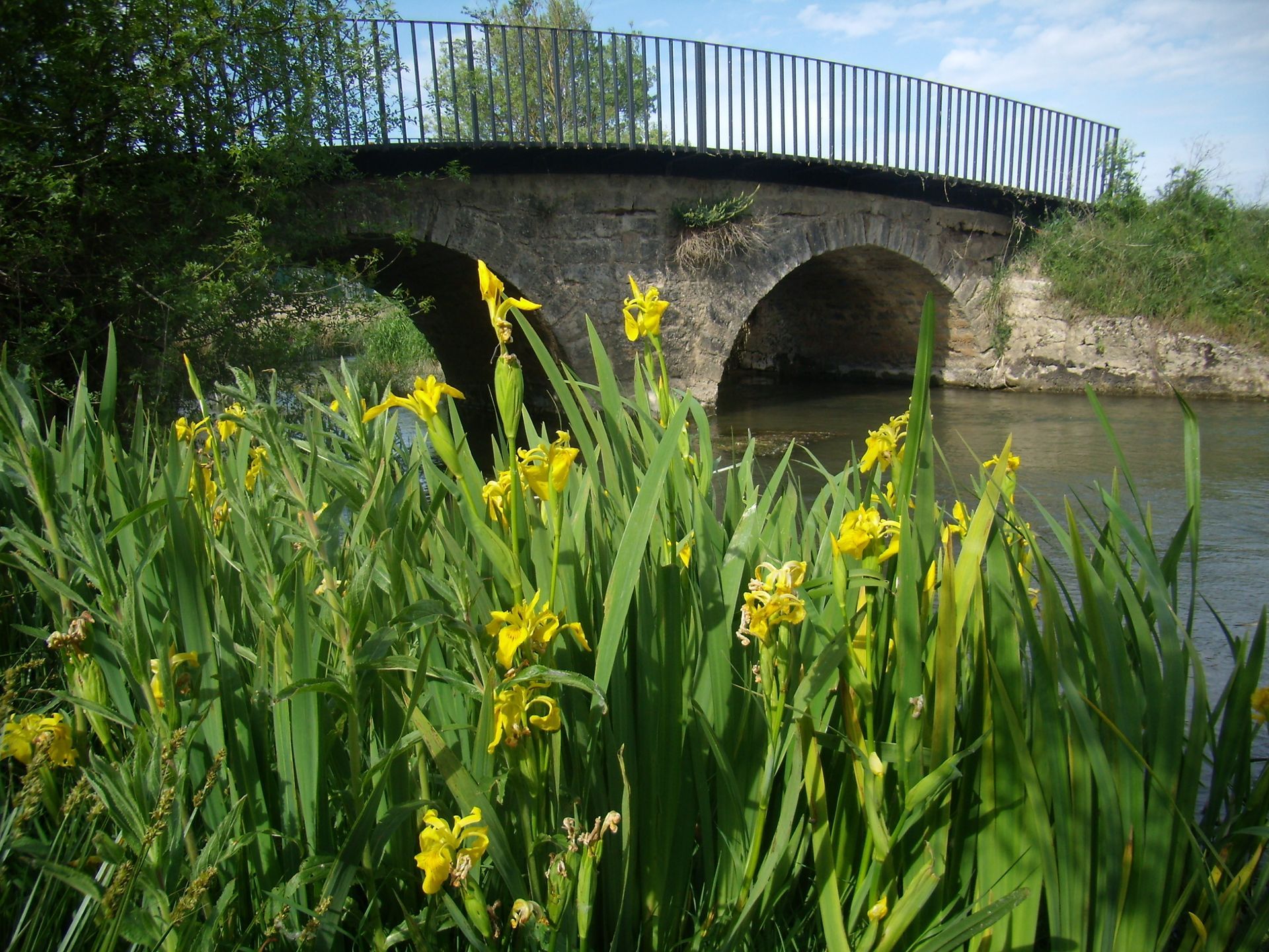 Puente sobre el Río Úrbel
