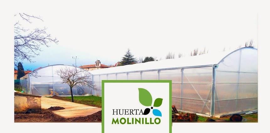Huerta Molinillo